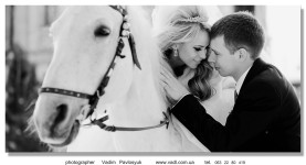 Wedding. Изображение 782 Wedding. Изображение 782