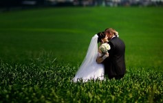 Весілля. Изображение 9461