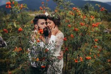 Весілля. Изображение 21333