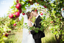 Свадьбы. Изображение 9478