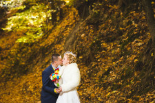 Свадьбы. Изображение 9470