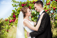 Свадьбы. Изображение 9475