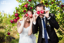 Свадьбы. Изображение 9476