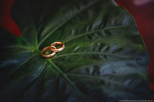 WED Portfolio. Изображение 36493 WED Portfolio. Изображение 36493