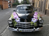 Украшение автомобилей. Изображение 9548