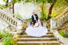 Свадебное. Изображение 804