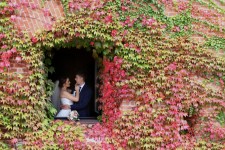 Весілля. Изображение 9814