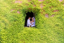 Весілля. Изображение 9804