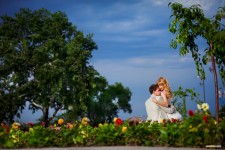 Свадебная фотография. Изображение 10524