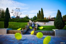 Свадебная фотография. Изображение 10544