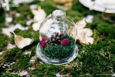 Оформлення та декор. Изображение 10678