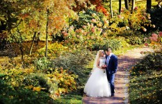 Свадебный альбом 2. Изображение 10716