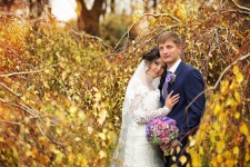 Свадебный альбом 2. Изображение 10724