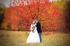 Свадебный альбом 2. Изображение 10726