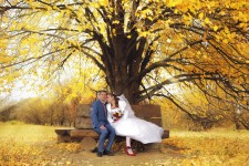 Свадебный альбом 2. Изображение 10730