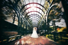 Свадебный альбом 2. Изображение 10718