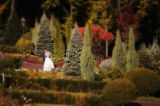 Свадебный альбом 2. Изображение 10712