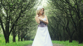 свадьба. Изображение 10763