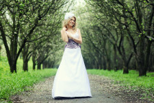 свадьба. Изображение 10765