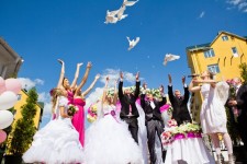 Gavrilova в работе. Изображение 13610