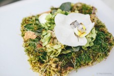 Організація весілля Івано-Франківськ, Карпати , Варшава, Краків, Крим. Изображение 10945