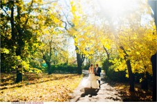 Свадебное фото. Изображение 916