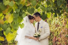 Wedding Day. Изображение 18509