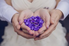 Wedding Day. Изображение 27960