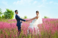 Свадьбы. Изображение 11265