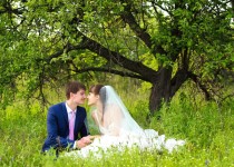 Свадьбы. Изображение 11268