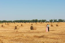 Свадьбы. Изображение 11277