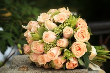 Свадьбы. Изображение 11274