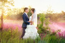 Свадьбы. Изображение 11273