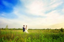 Свадьбы. Изображение 11266