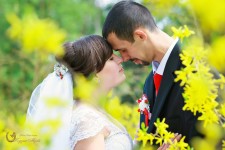 Свадьба 25,04,2015. Изображение 11291