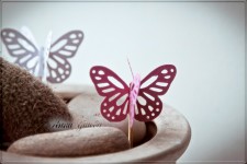 Сундучки для денег. Изображение 11338 Сундучки для денег. Изображение 11338