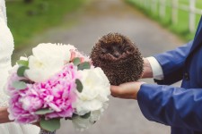 Свадьбы. Изображение 19305