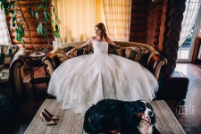 Свадьбы. Изображение 19299