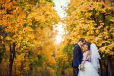 WEDDING. Изображение 11487 WEDDING. Изображение 11487