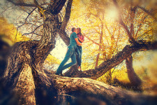 Love Story. Изображение 11701