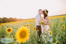 Weddings. Изображение 24945