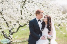 Weddings. Изображение 11893