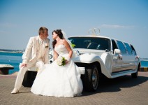 Свадебная съемка  . Изображение 12094