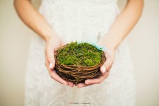 Wedding. Изображение 12293