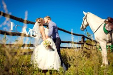 Wedding. Изображение 12329