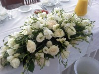 Флористика. Изображение 12422