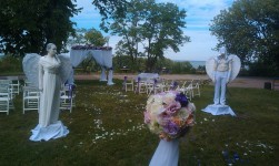 Живые статуи. Изображение 25003