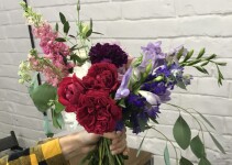 Флористика. Изображение 65003