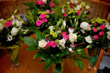 Флористика. Изображение 12516