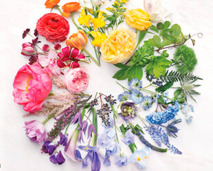 О чем говорят цветы О чем говорят цветы